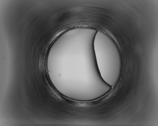 X0000085080794200703051107