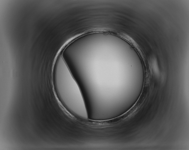 X0000085080795200703051107