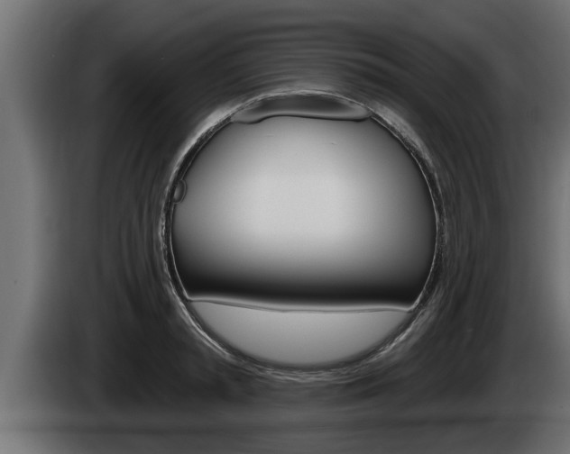 X0000085080797200703051107