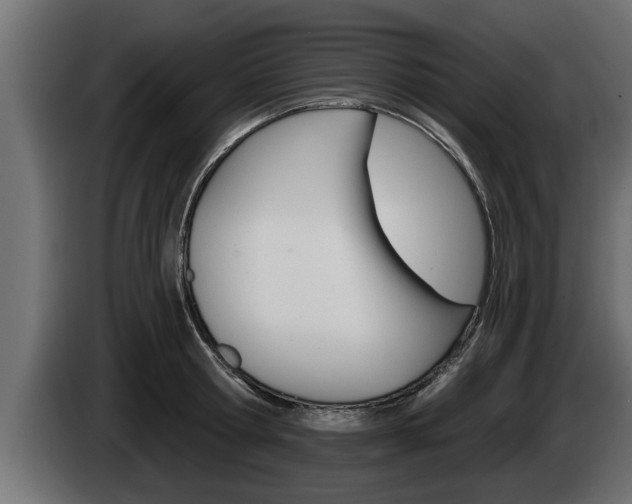 X0000085080802200703051107