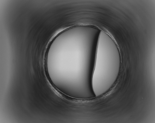 X0000085080803200703051107