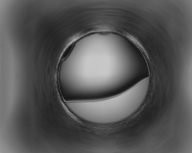 X0000085080805200703051107