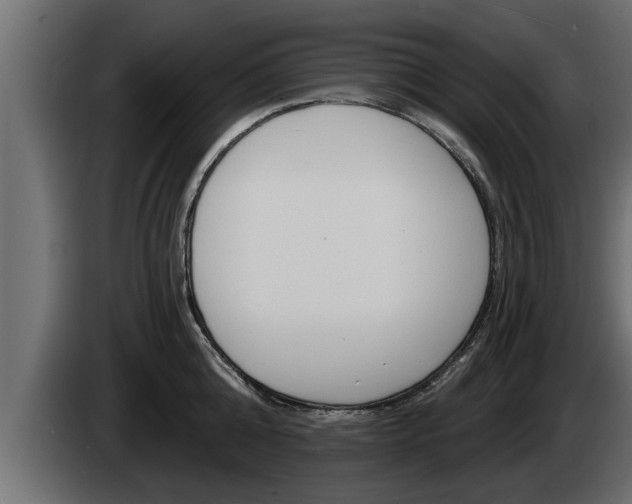 X0000085080808200703051107