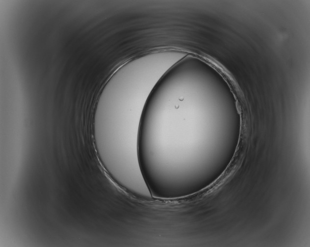 X0000085080809200703051107