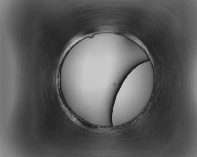 X0000085080811200703051107