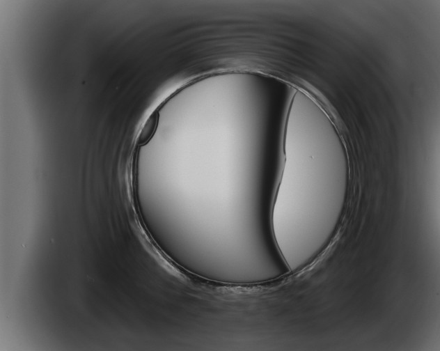 X0000085080812200703051107