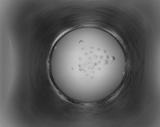X0000085080814200703051107