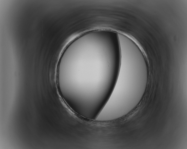 X0000085080815200703051107