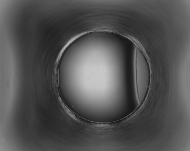 X0000085080816200703051107