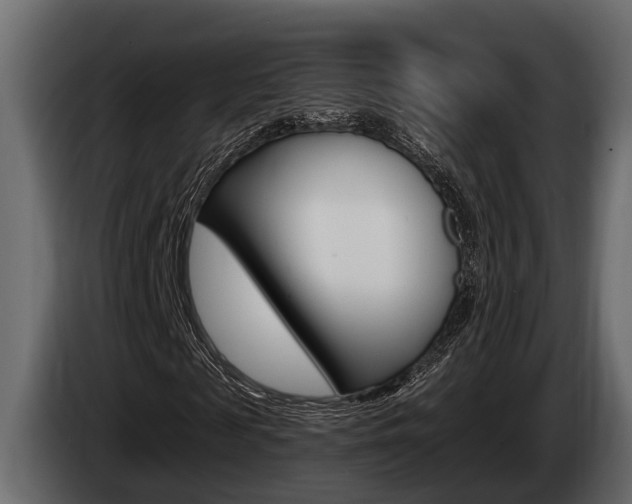 X0000085080817200703051106