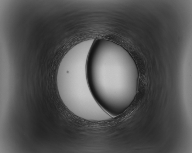 X0000085080818200703051106