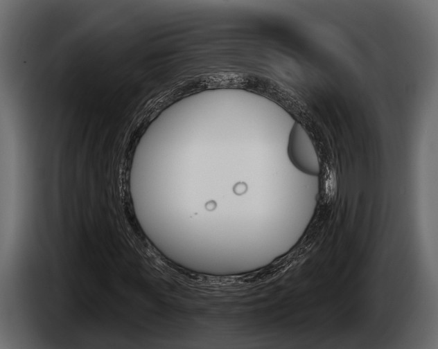 X0000085080819200703051106