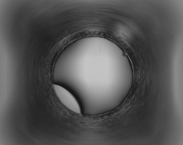 X0000085080821200703051106