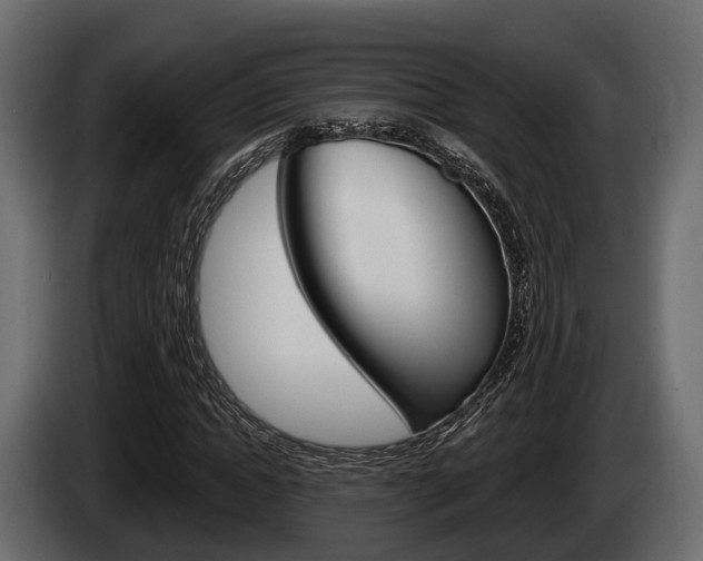 X0000085080822200703051106
