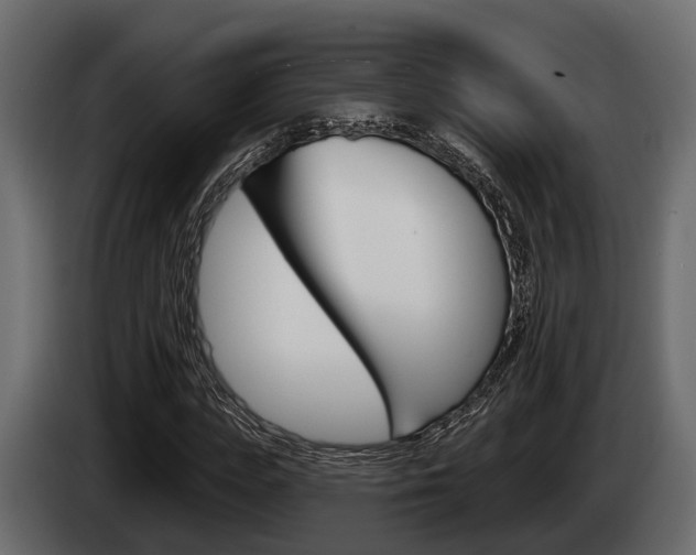 X0000085080823200703051106