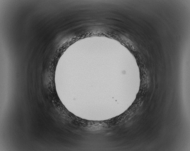 X0000085080824200703051106