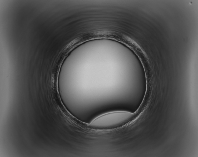X0000085080825200703051107