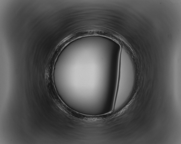 X0000085080826200703051107