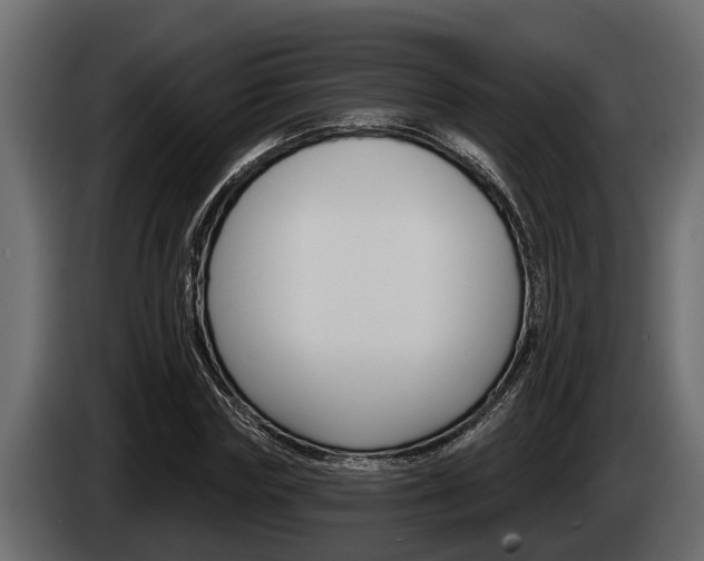 X0000085080827200703051107