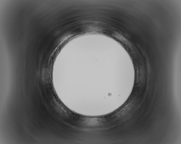 X0000085080828200703051107