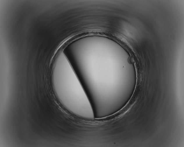 X0000085080829200703051107