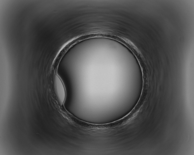 X0000085080830200703051107
