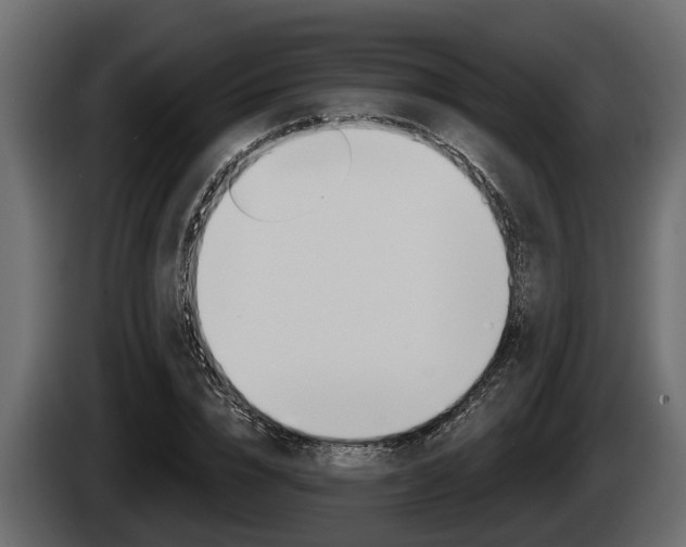 X0000085080832200703051107