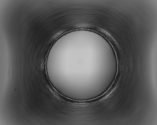 X0000085080833200703051107