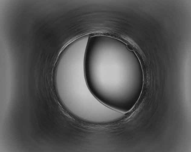 X0000085080834200703051107