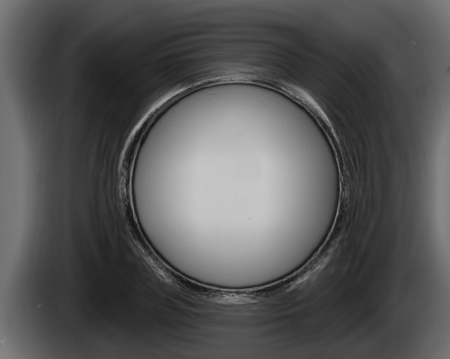 X0000085080835200703051107