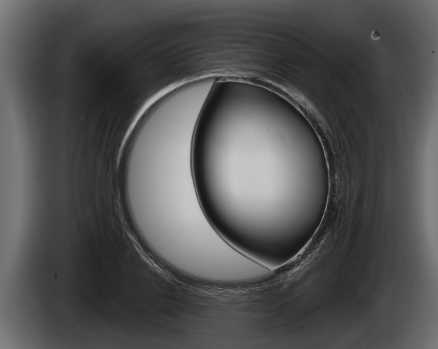 X0000085080838200703051107