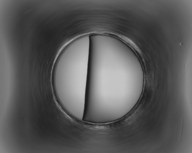 X0000085080839200703051107