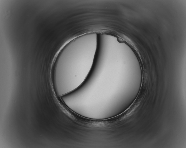 X0000085080843200703051107