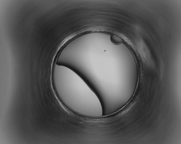 X0000085080845200703051107