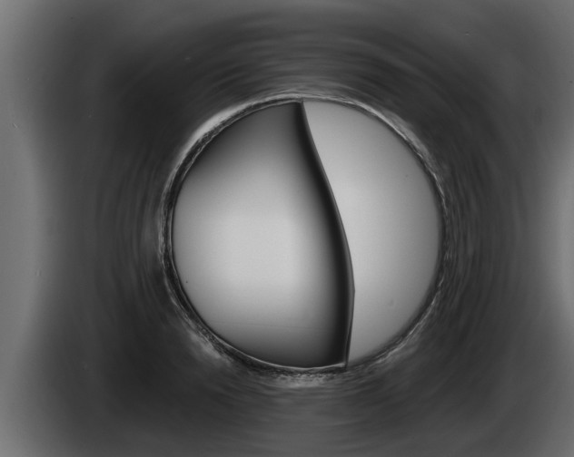 X0000085080846200703051107