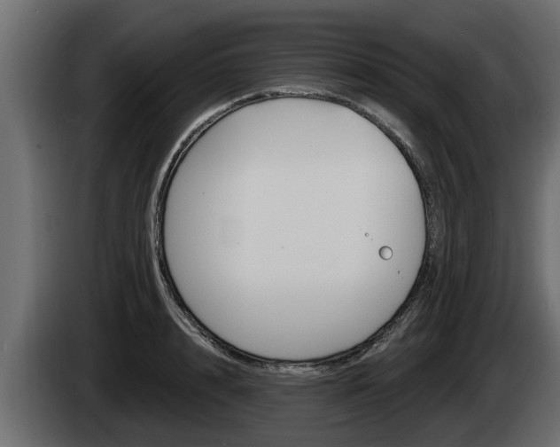 X0000085080848200703051107