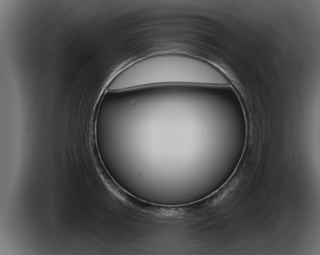 X0000085080850200703051107
