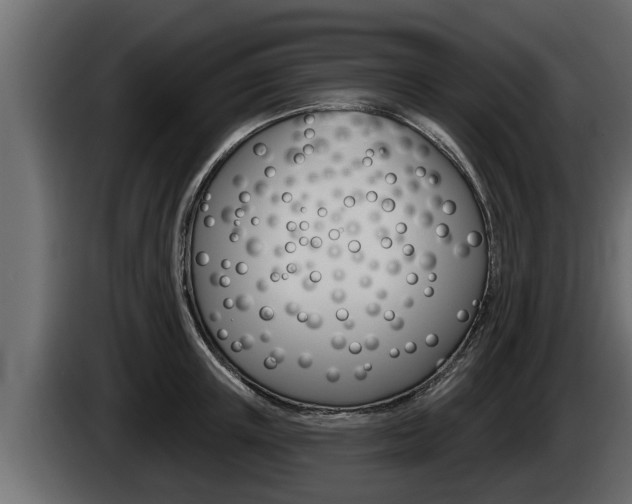 X0000085080851200703051107