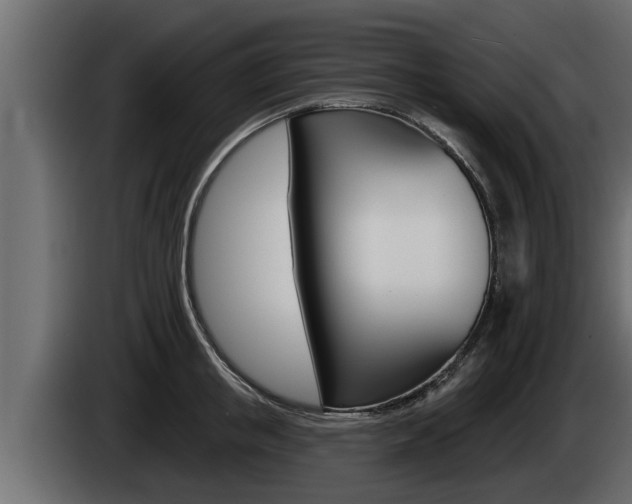 X0000085080853200703051107