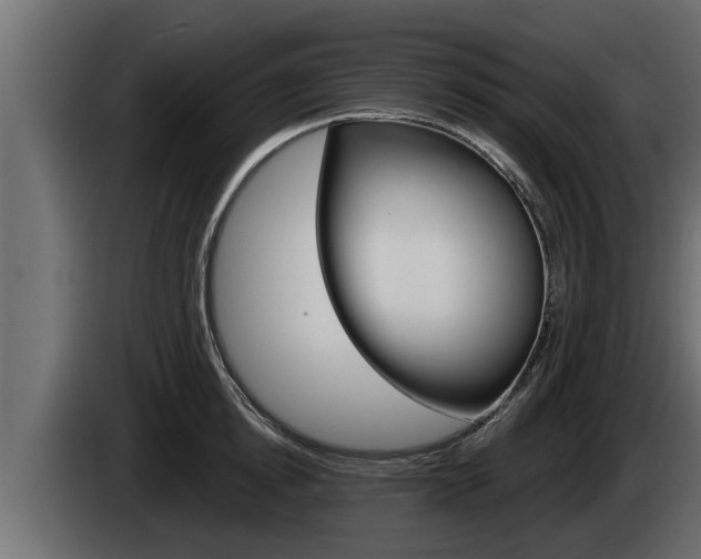 X0000085080854200703051107