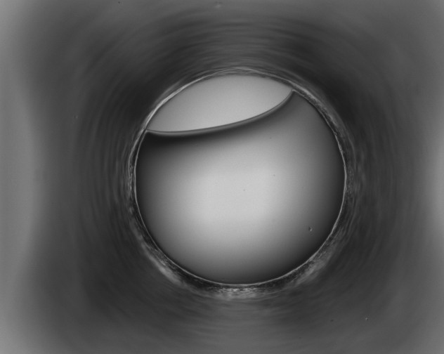 X0000085080858200703051107