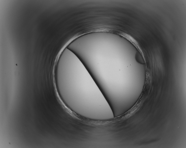 X0000085080859200703051107