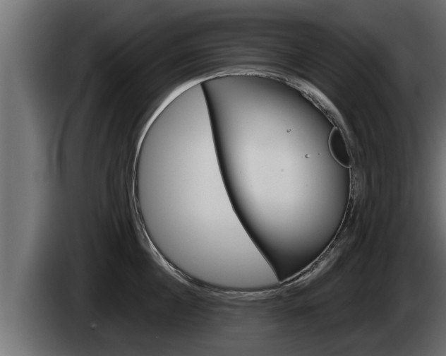 X0000085080860200703051107
