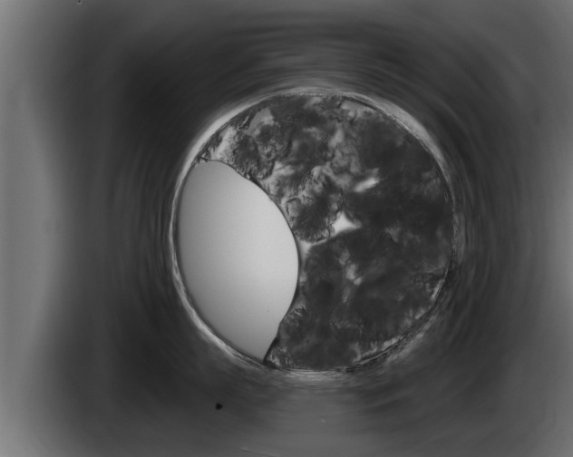 X0000085080863200703051107