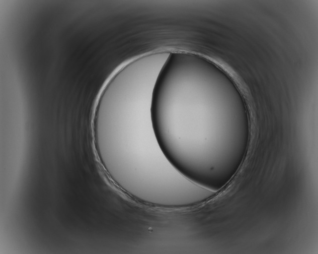 X0000085080864200703051107