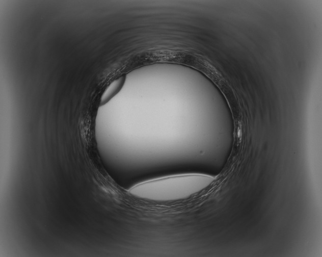 X0000085080867200703051106
