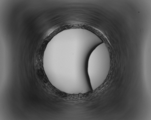X0000085080871200703051106
