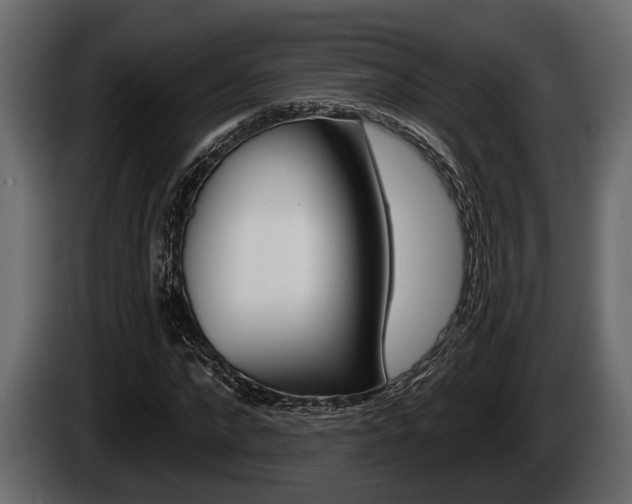 X0000085080872200703051106