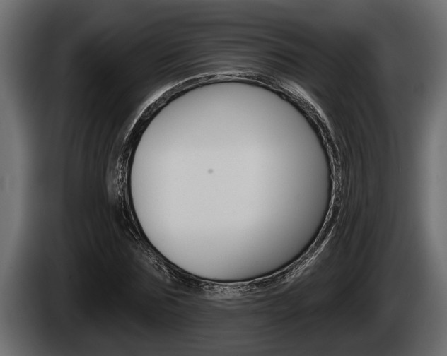 X0000085080875200703051106