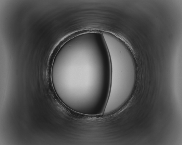 X0000085080880200703051106
